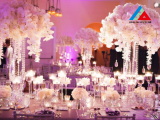 Nội Thất Cửa Hàng Và Showroom